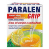 PARALEN GRIP horúci nápoj citrón plu por 650 mg/10 mg (vre.papier/PE/Al/PE) 1x12 vrecúšok PARALEN GRIP horúci nápoj citrón plu por 650 mg/10 mg (vre.papier/PE/Al/PE) 1x12 vrecúšok