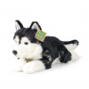 Rappa Plyšový pes HUSKY - 36 cm - ECO-FRIENDLY Rappa Plyšový pes HUSKY - 36 cm - ECO-FRIENDLY