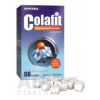 DCM Collagen s.r.o. COLAFIT kocky 1x60 ks DCM Collagen s.r.o. COLAFIT kocky 1x60 ks