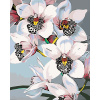 ZUTY Maľovanie podľa čísel - NÁDHERNÉ ORCHIDEJE Rámovanie: vypnuté plátno na rám, Rozmer: 80x100 cm ZUTY Maľovanie podľa čísel - NÁDHERNÉ ORCHIDEJE Rámovanie: vypnuté plátno na rám, Rozmer: 80x100 cm