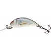 Salmo Hornet 2,5 cm S - SALMO WOBBLER HORNET H2S RD Salmo Hornet 2,5 cm S - SALMO WOBBLER HORNET H2S RD