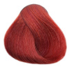 LOVIEN ESSENTIAL LOVIN Color farba na vlasy 100ml - Fiery Red 6RF LOVIEN ESSENTIAL LOVIN Color farba na vlasy 100ml - Fiery Red 6RF