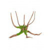 Akvarijné dekorácie KIPOUSS pavúčí koreň M Zolux Akvarijné dekorácie KIPOUSS pavúčí koreň M Zolux