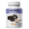 Polyporus extrakt-vitálne huby 90kapsúl MycoMedica Polyporus extrakt-vitálne huby 90kapsúl MycoMedica