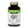 MASTICHA ACTIVE - Apothecary cps 1x100 ks MASTICHA ACTIVE - Apothecary cps 1x100 ks