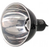 Repti Planet Dome Lamp 14 cm Repti Planet Dome Lamp 14 cm
