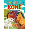 Farebné kone Farebné kone