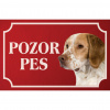 Francúzsky španiel - Kovová tabuľka POZOR PES Francúzsky španiel - Kovová tabuľka POZOR PES