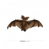 Netopier 60 cm Netopier 60 cm