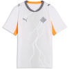 Puma Kids Iceland Away Shirt World Cup 2026 White/Grey 11-12 rokov Puma Kids Iceland Away Shirt World Cup 2026 White/Grey 11-12 rokov