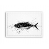 Fotoobraz 90x60 cm stredný Ryba Fotoobraz 90x60 cm stredný Ryba