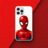 DC Comics Back Case Spider Man 012 iPhone 13 14533133 DC Comics Back Case Spider Man 012 iPhone 13 14533133