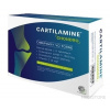 Medoselect Cartilamine Chondro 60 kapsúl Medoselect Cartilamine Chondro 60 kapsúl