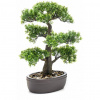 Emerald Umelá Fikus Bonsai v hnedej hrnci, (Emerald Umelá Fikus Bonsai v hnedej hrnci,) Emerald Umelá Fikus Bonsai v hnedej hrnci, (Emerald Umelá Fikus Bonsai v hnedej hrnci,)