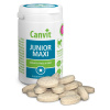 Canvit Junior Maxi for Dogs 230 g Canvit Junior Maxi for Dogs 230 g