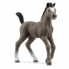 Schleich 13957 Žriebä plemena Selle Français Schleich 13957 Žriebä plemena Selle Français