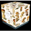 PUZZLE CHAMPIGNONS 1000 PIECES (COLLECTIFS LES JOLIES PLANCHES)(Hra) PUZZLE CHAMPIGNONS 1000 PIECES (COLLECTIFS LES JOLIES PLANCHES)(Hra)