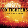 FOO FIGHTERS: SKIN & BONES LP FOO FIGHTERS: SKIN & BONES LP