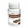 ACTIVSTAR ACTIVCORDYCEPS - 30 kapsúl ACTIVSTAR ACTIVCORDYCEPS - 30 kapsúl