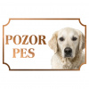 Zlatý retríver - Kovová tabuľka POZOR PES Zlatý retríver - Kovová tabuľka POZOR PES