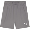 Puma | teamGOAL Shorts | šedá| S Puma | teamGOAL Shorts | šedá| S