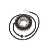 ELECTROSPORT ESG702 VINUTIE ALTERNÁTORA ELECTROSPORT (STATOR) DUCATI ST2/ST3/ST4, MONSTER S4 ELECTROSPORT ESG702 VINUTIE ALTERNÁTORA ELECTROSPORT (STATOR) DUCATI ST2/ST3/ST4, MONSTER S4