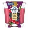 Glade sviečka Winter Berries 112 g Glade sviečka Winter Berries 112 g