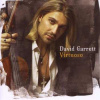 LP David Garrett: Virtuoso LP David Garrett: Virtuoso