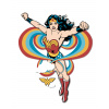 ZUTY Maľovanie podľa čísel - WONDER WOMAN DÚHA II Rámovanie: vypnuté plátno na rám, Rozmer: 40x50 cm ZUTY Maľovanie podľa čísel - WONDER WOMAN DÚHA II Rámovanie: vypnuté plátno na rám, Rozmer: 40x50 cm