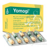 Yomogi cps.dur.10 x 250mg Yomogi cps.dur.10 x 250mg