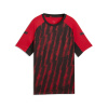 Detské Tričko s krátkym rukávom PUMA INDIVIDUALLIGA GRAPHIC JERSEY JR 66057901 – Červená Detské Tričko s krátkym rukávom PUMA INDIVIDUALLIGA GRAPHIC JERSEY JR 66057901 – Červená