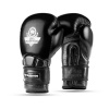 Boxerské rukavice DBX BUSHIDO Warrior BLACK Boxerské rukavice DBX BUSHIDO Warrior BLACK
