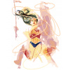 ZUTY Maľovanie podľa čísel - MAĽOVANÁ WONDER WOMAN IV Rámovanie: bez rámu a bez vypnutia plátna, Rozmer: 40x50 cm ZUTY Maľovanie podľa čísel - MAĽOVANÁ WONDER WOMAN IV Rámovanie: bez rámu a bez vypnutia plátna, Rozmer: 40x50 cm