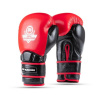 Boxerské rukavice DBX BUSHIDO Warrior RED Boxerské rukavice DBX BUSHIDO Warrior RED