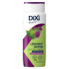 DiXi Lopúchový šampón 400 ml, lopúchový DiXi Lopúchový šampón 400 ml, lopúchový