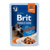 Brit Premium Cat D Fillets in Gravy with Turkey 85g Brit Premium Cat D Fillets in Gravy with Turkey 85g