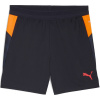 Puma Individual Cup Shorts Juniors Navy/Orange 9-10 rokov Puma Individual Cup Shorts Juniors Navy/Orange 9-10 rokov
