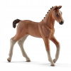 Schleich 13818 Hannoverské žriebä Schleich 13818 Hannoverské žriebä