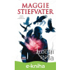 E-kniha Zloději snů - Maggie Stiefvater E-kniha Zloději snů - Maggie Stiefvater