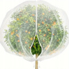 Garden King Ochranná sieť na stromy proti vtákom 100 x 150 cm Garden King Ochranná sieť na stromy proti vtákom 100 x 150 cm