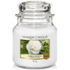 Yankee Candle Camellia Blossom - Kamélie vonná sviečka Classic strednej sklo 411 g