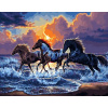 Norimpex Diamantové maľovanie Divoké kone na pláži 40x30cm Norimpex Diamantové maľovanie Divoké kone na pláži 40x30cm