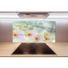 Panel do kuchyne Biela orchidea 100x50 cm Panel do kuchyne Biela orchidea 100x50 cm