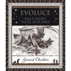 Evoluce Evoluce