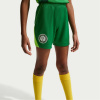 Nike Kids' Nigeria FIFA World Cup 2026™ Football Shorts Green/White 11-12 rokov Nike Kids' Nigeria FIFA World Cup 2026™ Football Shorts Green/White 11-12 rokov