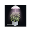 Rastúca lampa EMOS Z7901 Grow 5W Rastúca lampa EMOS Z7901 Grow 5W