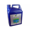 Selenia WR Diesel 5W-40 (5 L) Selenia WR Diesel 5W-40 (5 L)