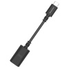Audioquest DRAGONTAIL USB-C Audioquest DRAGONTAIL USB-C