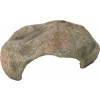 Trixie Reptile cave 27x10x22 cm Trixie Reptile cave 27x10x22 cm