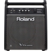 Roland PM-100 Roland PM-100